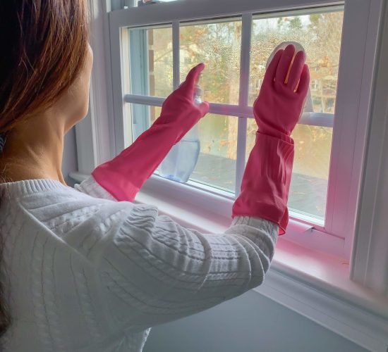 woman-cleaning-home-windows-using-latex-gloves-g-2022-11-11-16-52-07-utc (1)